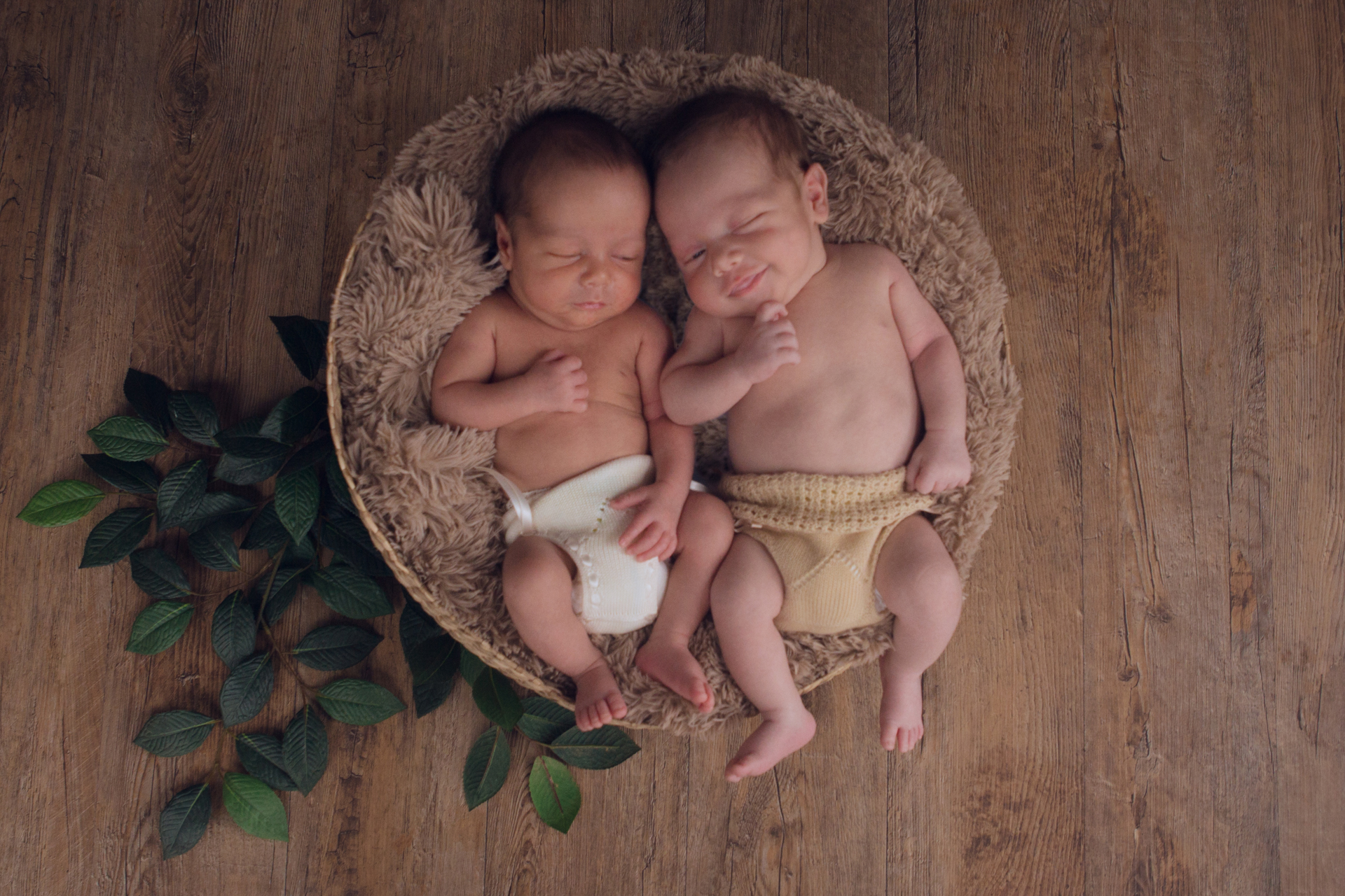 Fotografo de bebés recién nacidos Donostia San Sebastian